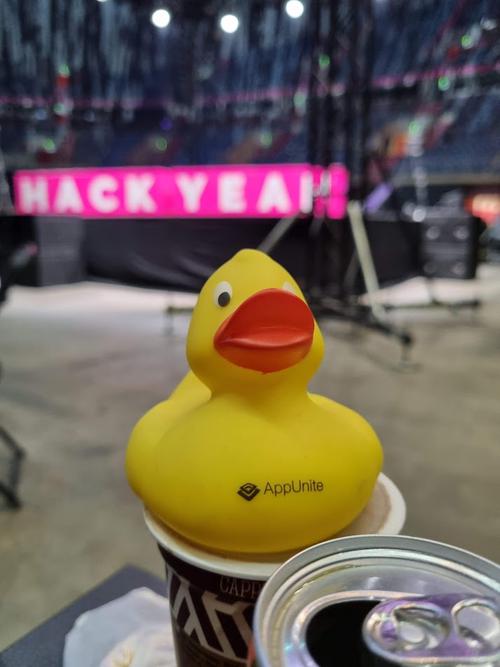 A duck during HackYeah 2022