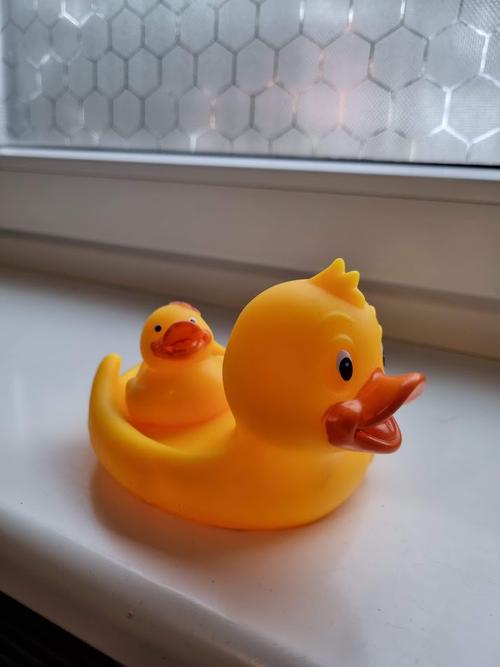 A rubber duck family